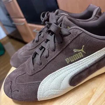 PUMA 브라운 스피도캣 OG