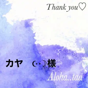 종합 페이지 ( 12/25까지 사전예약 가능합니다 )