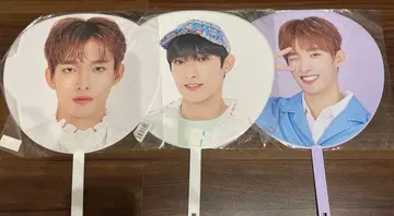 도겸 seventeen 부채
