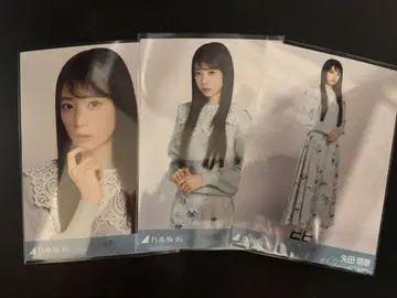 야타 모에카 노기자카46 카라 부착 코디 브로마이드 3종 컴프