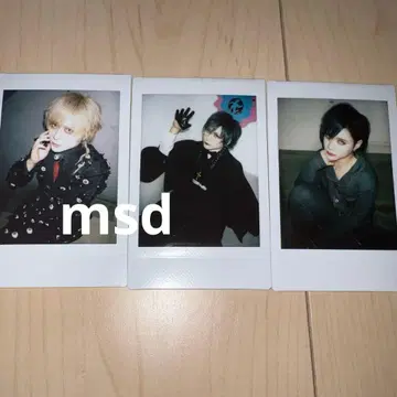 자아자아 봄눈 폴라로이드