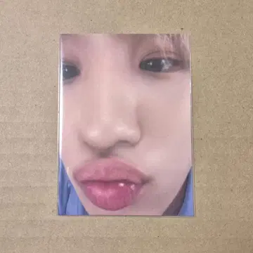 BALLISTIKBOYZ 마츠이 리키 포토 카드 시크릿