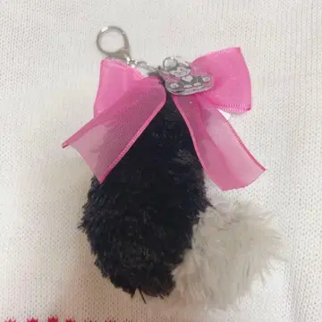 피가로 꼬리 디즈니 리조트