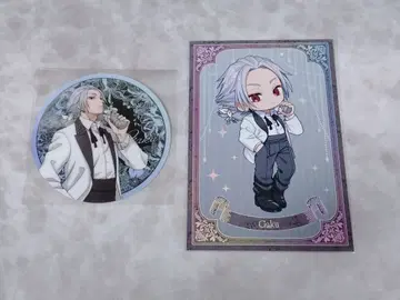 사카모토 데이즈 아모카페 락 세트