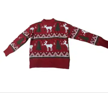 루돌프 무늬의 빨간색 니트 스웨터