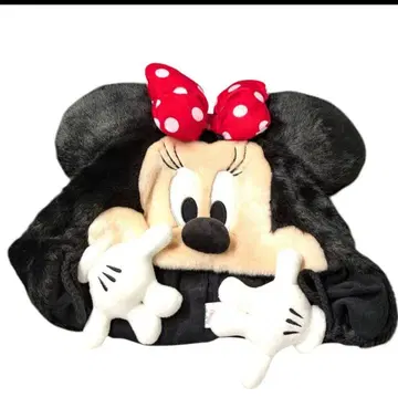 디즈니 미니 팬캡