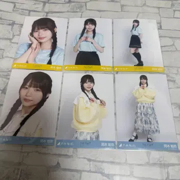 오카모토 히나 노기자카46 랜덤 브로마이드 6종 컴프