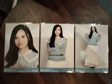 이노우에 와카 카라 부착 코디 브로마이드 컴프