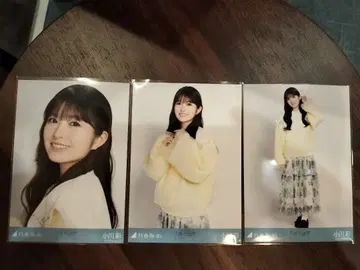 오가와 아야 카라 부착 코디 브로마이드 컴프