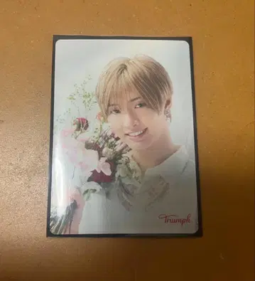 Triumph 사토 신 특전 카드 2장 세트