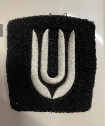 UNISON SQUARE GARDEN 15th 리스트 밴드