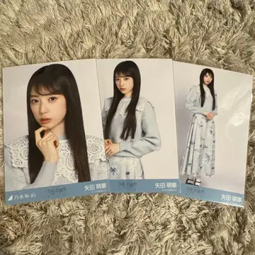 노기자카46 브로마이드 카라 부착 코디 야타 모에카 컴프