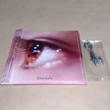 SHERBETS 깨끗한 피 2장 세트 아사이 켄이치