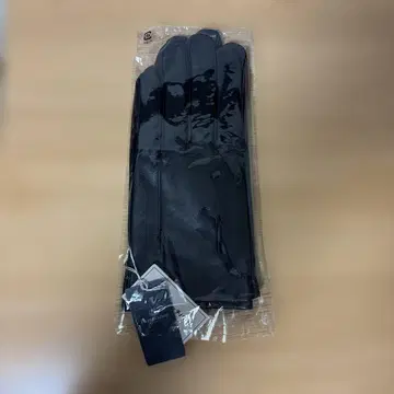 아쿠아 스큐텀 가죽 장갑