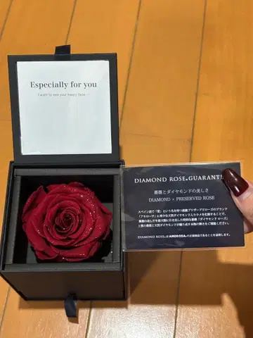 Lapisia의 오픈 하트 목걸이 다이아몬드 로즈 박스