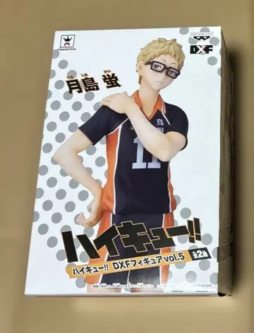 하이큐!! 츠키시마 케이 vol.5 DXF 피규어