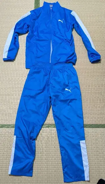 푸마 윈드 브레이커 M 사이즈