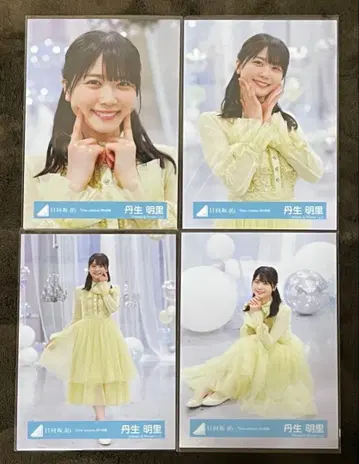 히나타자카46 브로마이드 니부 아카리