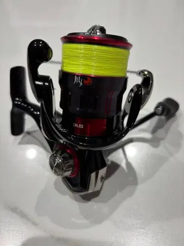 DAIWA 월하미인 LT2000S 낚시릴