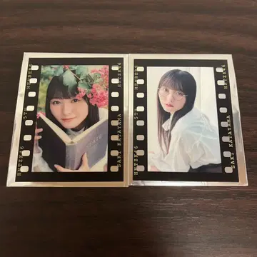 히나타자카46 필름풍 스티커 5기생의 포카포카 사진관 가타야마 사키