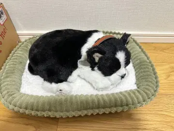 퍼펙트 반려동물 보스턴 테리어 봉제 인형