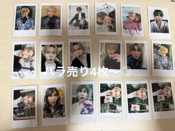 녹소 폴라로이드