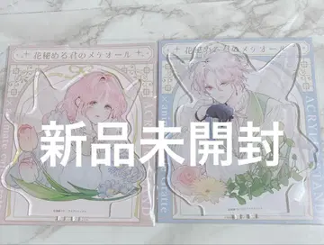 꽃 숨긴 너의 메테올 아크릴 스탠드 라비 & 스텔라 세트