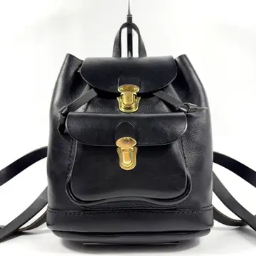 단종 레어 헤르츠 럭색 심플 스탠다드 천연 가죽 미니 블랙