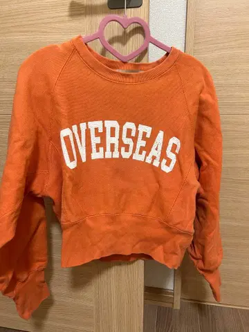 ALEXIA STAM 크롭 맨투맨