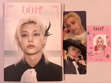 Stray Kids Do it 아코디언 필릭스 익명 배송