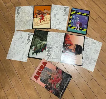레어 오토모 가츠히로 AKIRA 아키라 화집 포스터 9매입 스페인 서적
