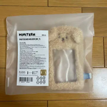 MINTEEN 포토카드 홀더 도어