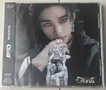 새상품 미개봉 Stray Kids 스키즈 fc반 현진 GIANT