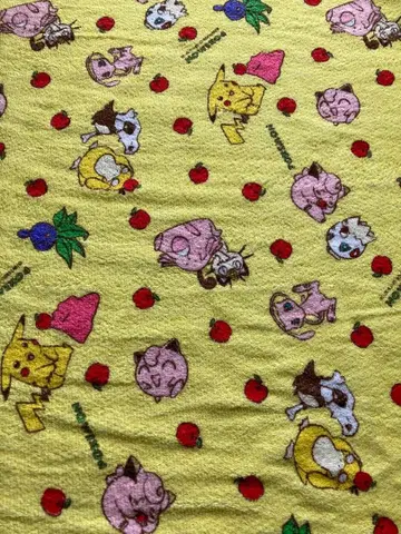 초레어! 레어! 포켓몬 원단 조각 당시 물품