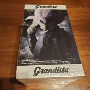 드래곤볼 피규어 Super Saiyan Rose 미개봉 새상품