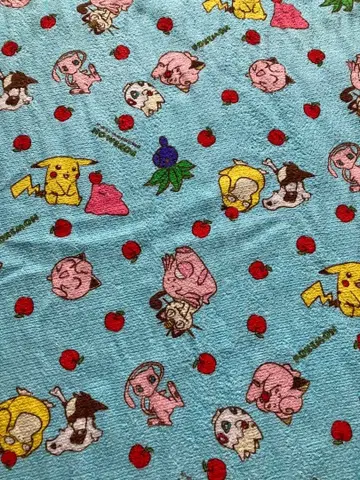 초레어! 레어! 포켓몬 원단 조각 당시 물품