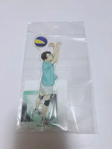 하이큐 쿠니미 아키라 아크릴 스탠드 의사 유스