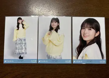 노기자카46 오가와 아야 카라 부착 코디 브로마이드 3종 컴프