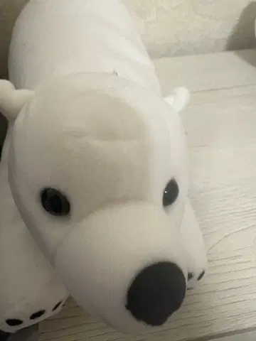 아사히야마 동물원 북극곰 봉제 인형 택 포함