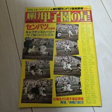 빛나는 코시엔의 별 1979년