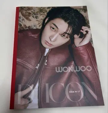 SEVENTEEN 세부치 원우 DICON ISSUE