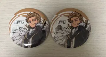 히로아카 호크스 신십걸 캔뱃지