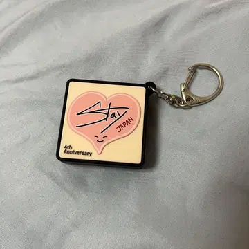 straykids stray kids 스키즈 아이엔 보이스 키링