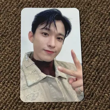 SEVENTEEN 세븐틴 richining 도겸