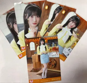 사이토 쥬아라 브로마이드 컴프