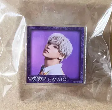 ONE N' ONLY AMAZONIA 아크릴 배지 HAYATO