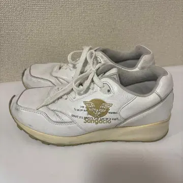 새상품급 [뉴] Anniversary 모델 23.5cm