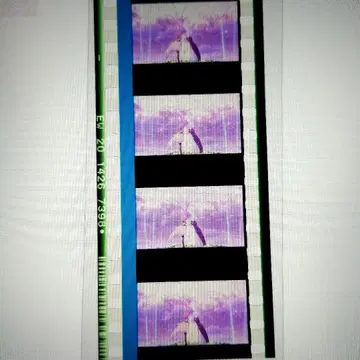 니지가사키 제2장 필름 조각 테노지 리나 미아 테일러