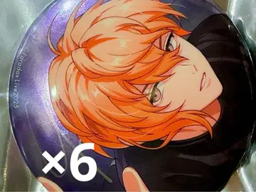 미야마 쿄 캔뱃지 6주년 파라라이 Paradox 1Nm8