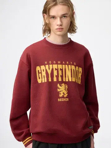 헤비웨이트 맨투맨 풀오버 Harry Potter